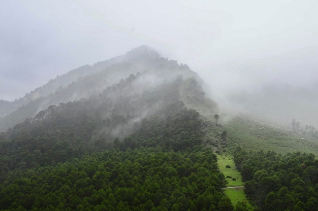 Parque natural e nacional da andaluzia espanha