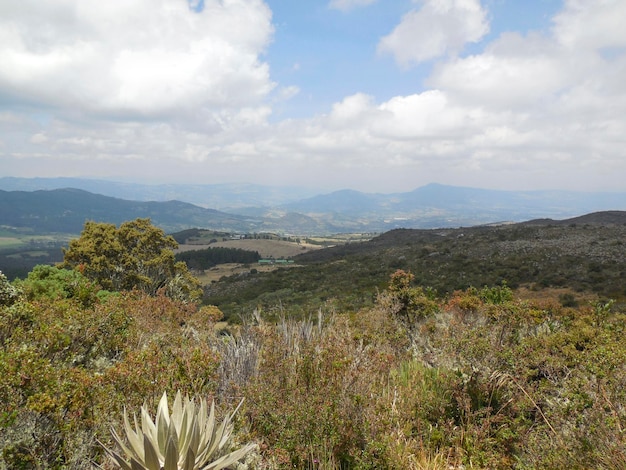 El Parque Natural Nacional de Chingaza