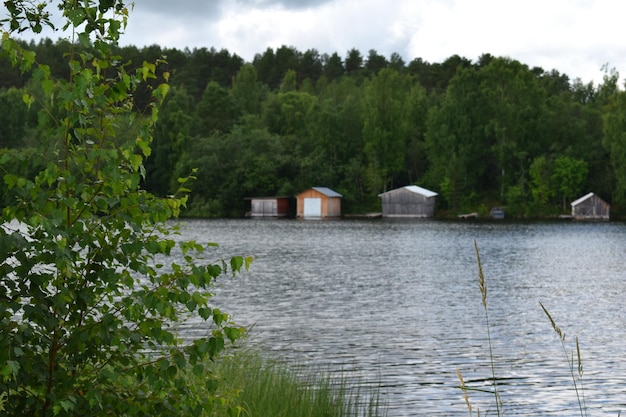 Foto parque natural pitoresco com lago de água no parque natural nacional local de descanso na floresta