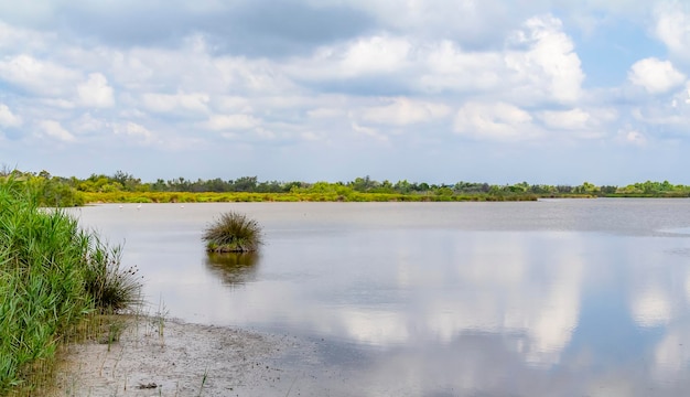 Parque Natural Regional de la Camarga