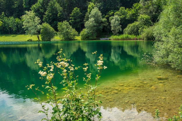 Foto parque natural regional de bauges