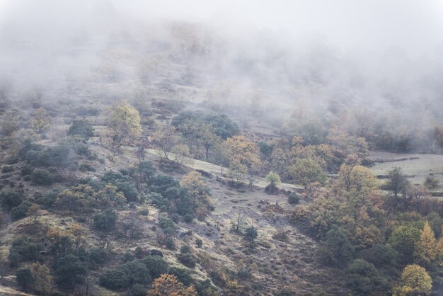 Parque Natural Sierra Nevada Alpujarra Granada España