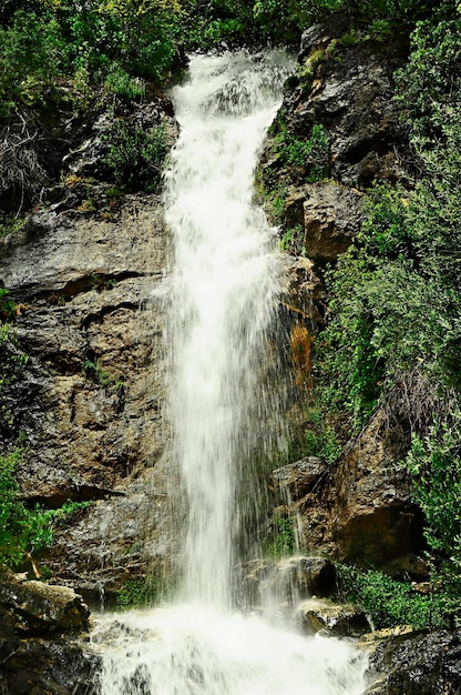 Parque Natural de las Sierras de Cazorla, Segura y Las Villas - Jaén