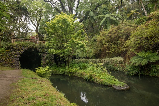 Foto parque natural terra nostra