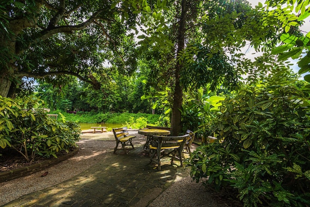 Foto el parque natural de wat umong suan puthanatham es un templo budista que es una importante atracción turística con naturaleza de bosque verde en chiang maithailand