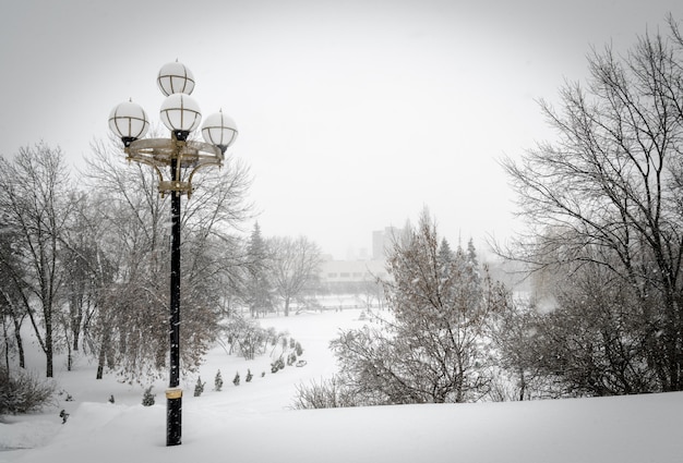 Parque de nieve