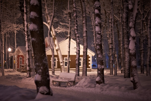 Parque de noche de nieve de invierno