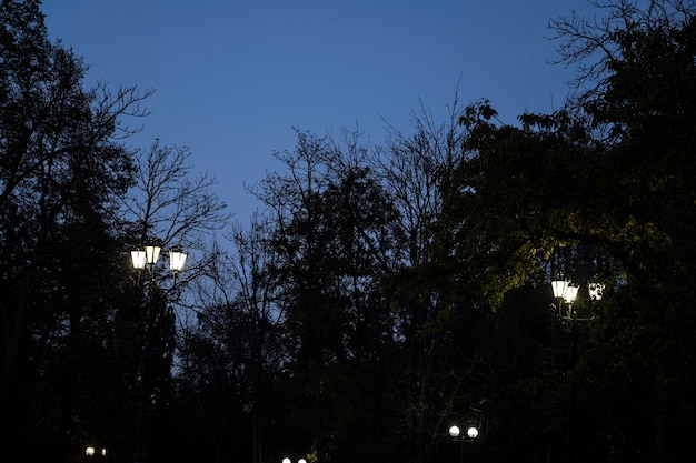 Parque noturno à luz da lua e lanternas. parque noturno. Lanternas no parque de partida. Banco i