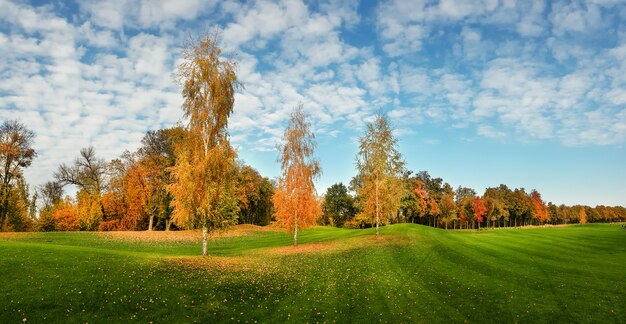Parque de otoño, árboles con follaje colorido.
