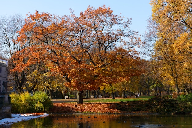 Parque de otoño con árboles sobre las aguas del estanque azul