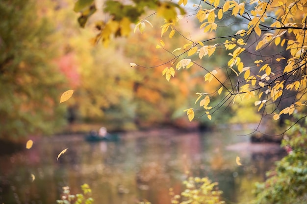 Parque de otoño durante la caída de hojas árboles coloridos se reflejan en el agua una vista pacífica y tranquila de la naturaleza
