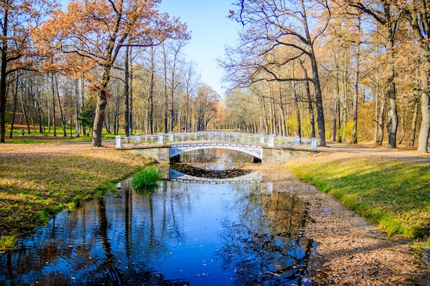 Parque de otoño de la ciudad de puentes. Otoño de oro . Otoño en el parque. Follaje amarillo