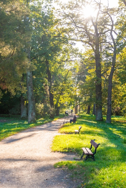 Parque de otoño y gente caminando.