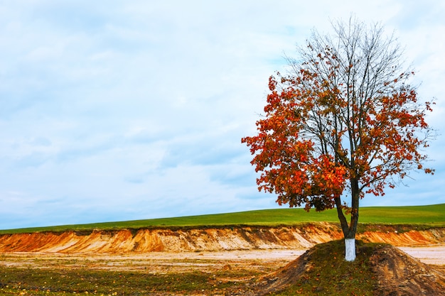 Parque de otoño