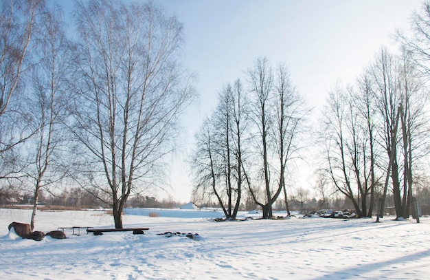 Parque paisagístico de inverno coberto de neve em um dia ensolarado de inverno