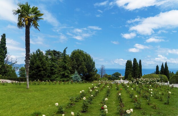 En el parque del Palacio de Livadia. Crimea. Yalta.