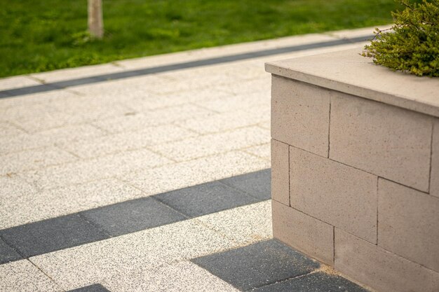 El parque de piedra se extiende más adelante enmarcado por plantas verdes y una arquitectura intrincada