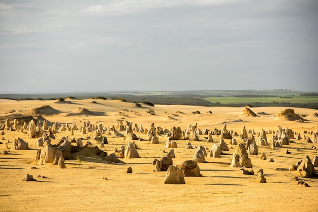 Parque de los pináculos en el oeste de australia