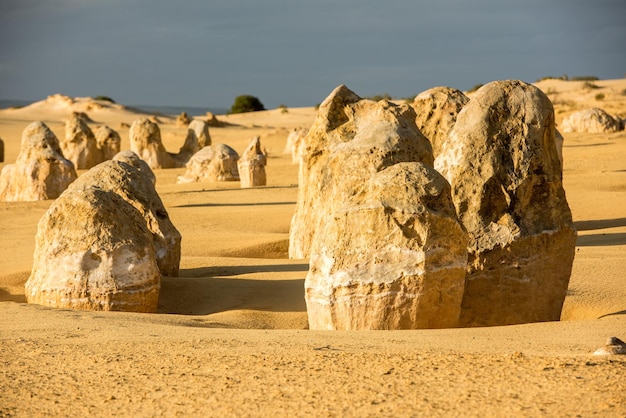 Parque de los pináculos en el oeste de australia