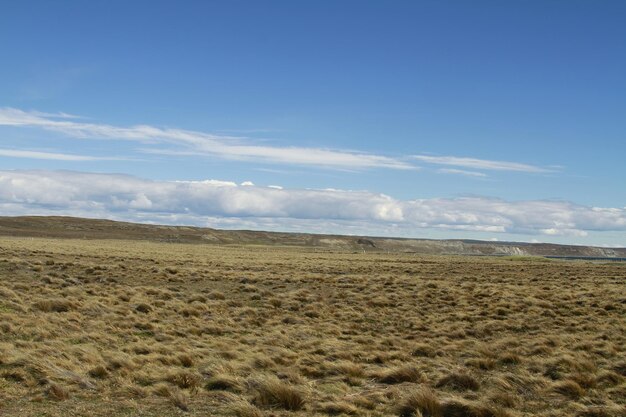 Parque Pinguino Rey King Penguin Park na Terra do Fogo