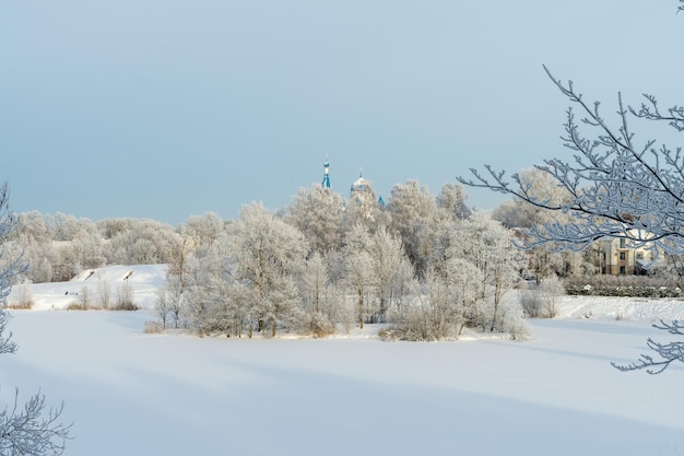 Parque Priorado de Gatchina no inverno Rússia Gatchina janeiro de 2024