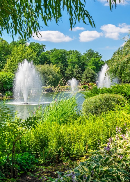 Parque público cerca de la casa Honka en la residencia Mezhyhirya, Kiev, Ucrania, en un día soleado de verano