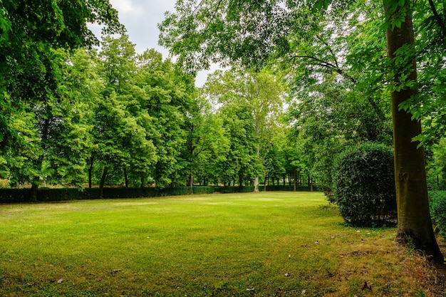 Parque público com árvores enormes e prados verdes para descansar e caminhar