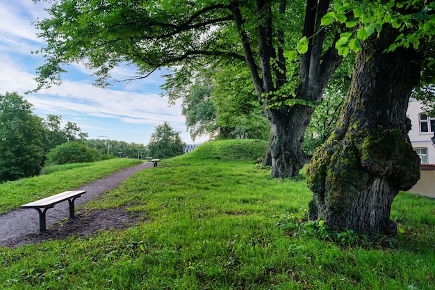 Parque público con grandes árboles y bancos para sentarse y descansar.