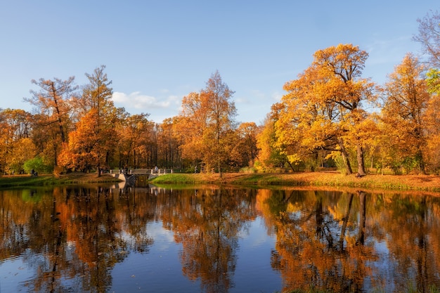 Parque público de otoño soleado con árboles dorados sobre un estanque y gente caminando. Tsarskoe Selo. Rusia.