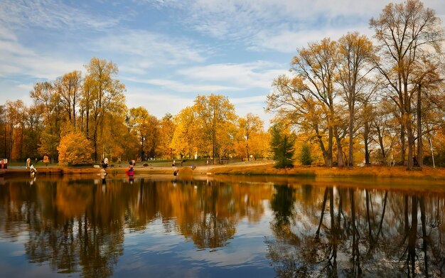 Parque público de otoño soleado con árboles dorados sobre un estanque y personas caminando alrededor