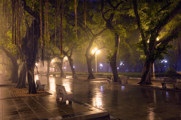 Parque del pueblo de Guangzhou con niebla en la noche, China