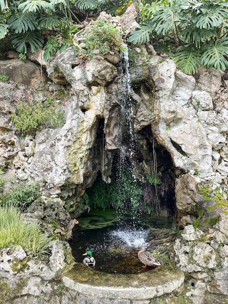 Foto parque quinta da regaleira