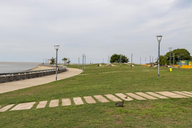 Parque por el río de la plata en argentina