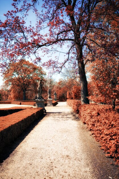 Foto parque en el soleado día de otoño