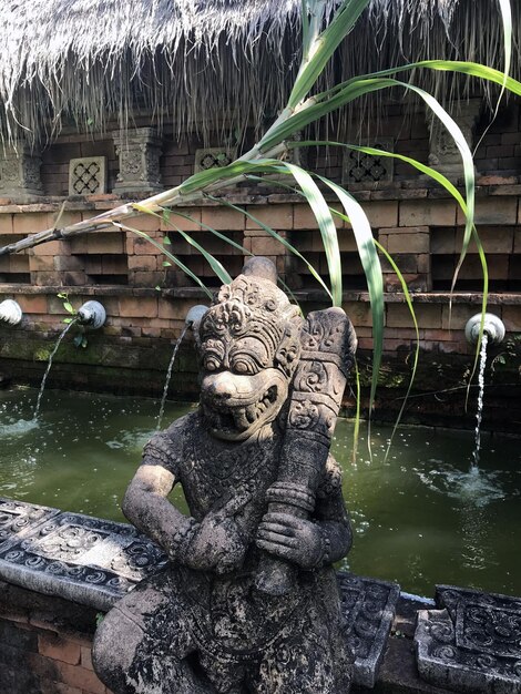 Parque en Tailandia. La foto muestra un paisaje en el parque.