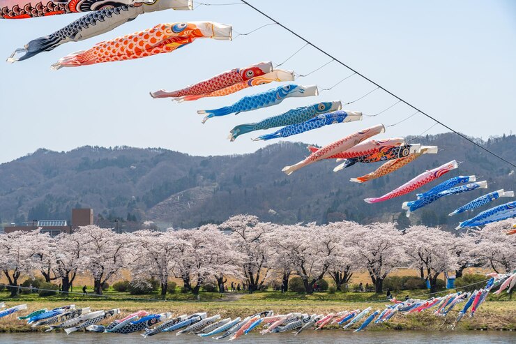 Parque Tenshochi Flores de cerezo del río Kitakami en plena floración y koinobori, la serpentina de la carpa