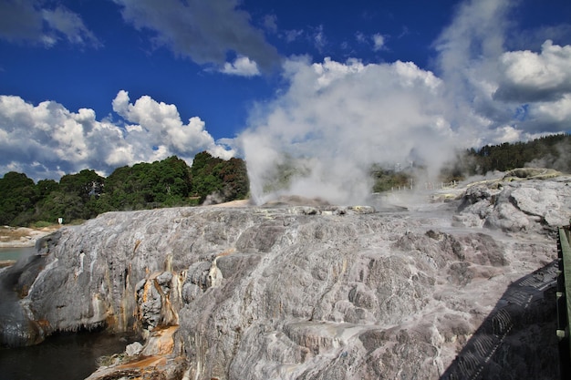 Parque termal em rotorua, nova zelândia