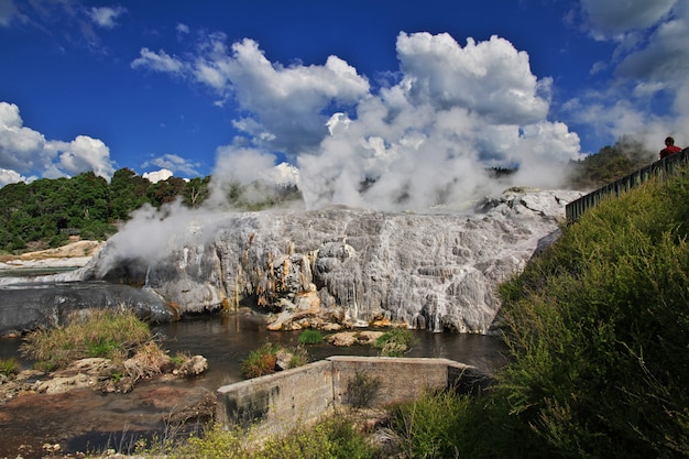 Parque termal em rotorua, nova zelândia