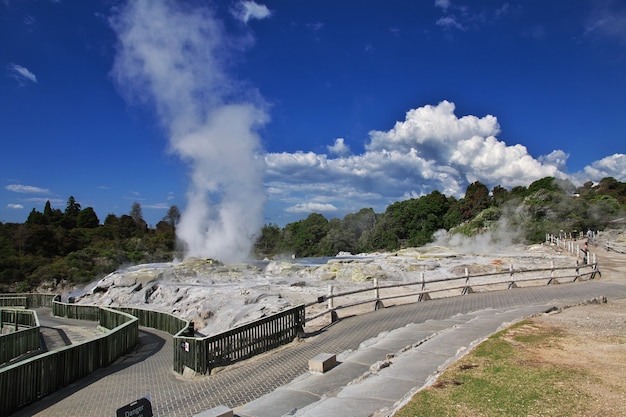 Parque Termal em Rotorua, Nova Zelândia