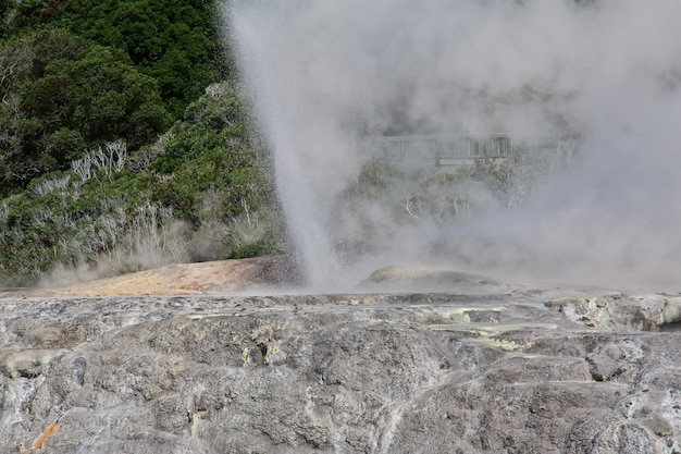 Parque termal em rotorua, nova zelândia