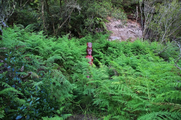 Parque termal en Rotorua, Nueva Zelanda