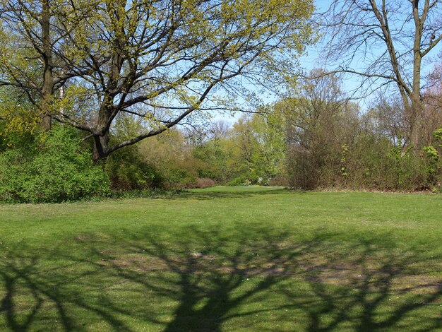 Foto parque tiergarten, berlim