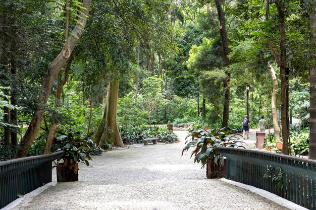 Foto parque trianon en av paulista en sao paulo sp brasil avenida principal de la ciudad