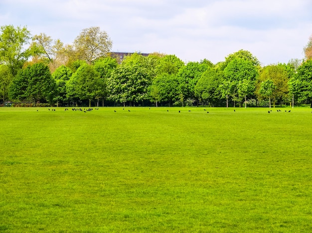 Foto parque urbano hdr en londres