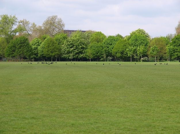 Foto parque urbano en londres