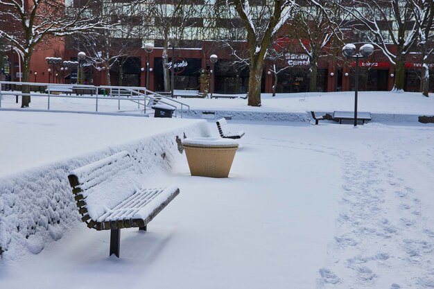 Parque urbano nevado con banco y plantación en Fort Wayne