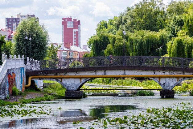 Parque urbano con río y puente en verano