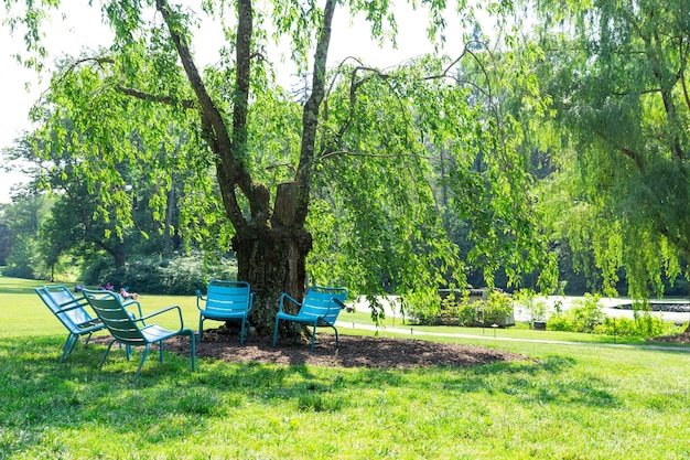 Parque de verano tranquilo en un día soleado.