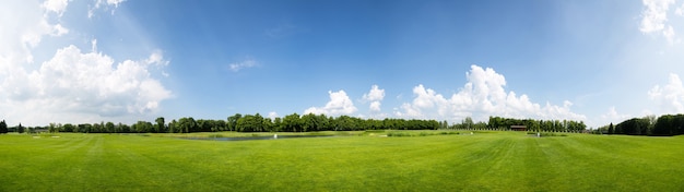 Foto parque de verano