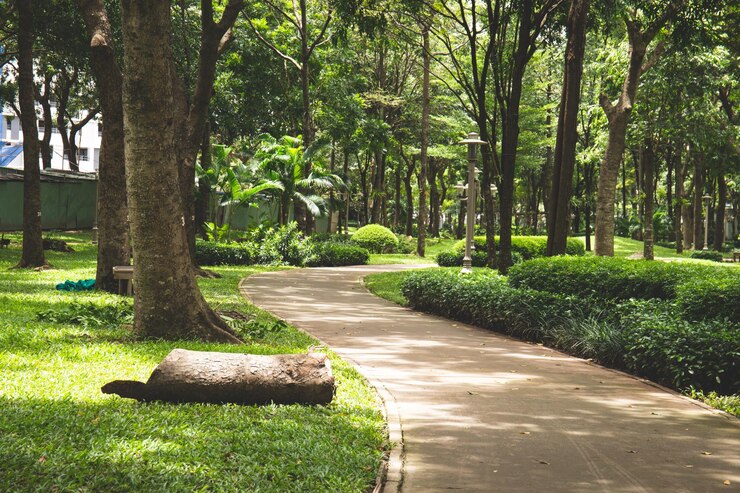 Foto parque verde en la ciudad de ho chi minh, vietnam